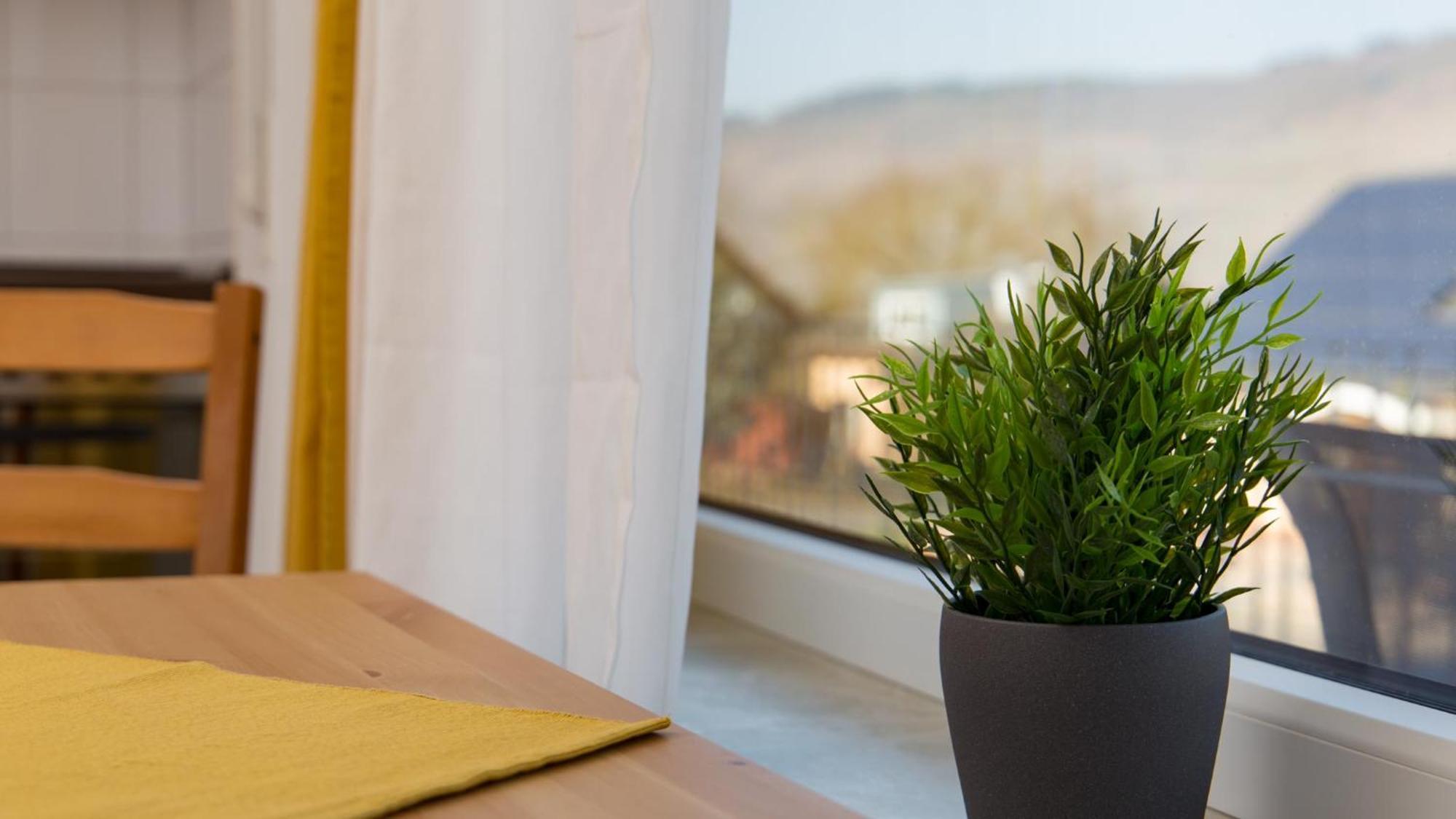 Weingut Roth Apartment Kindel Ngoại thất bức ảnh